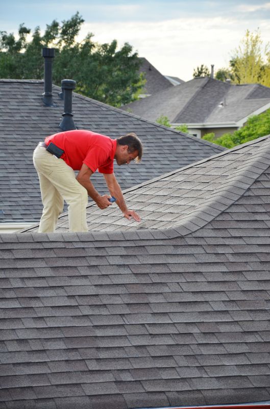 Professional Roofing Consultation