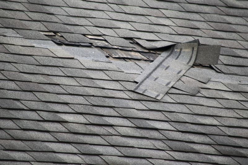 Specialized Roof Repair Services